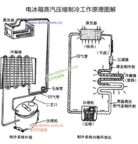 冰箱運作原理|收藏！详解冰箱的工作原理、制冷系统流程图